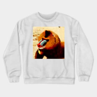 Mandrill Crewneck Sweatshirt